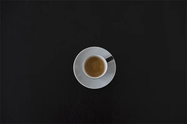 悪魔の手の木の育て方｜よくある誤解と失敗しないためのチェックリスト